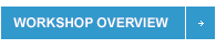 SW-Automotive-CTA-Btn-WorkshopOverview.png